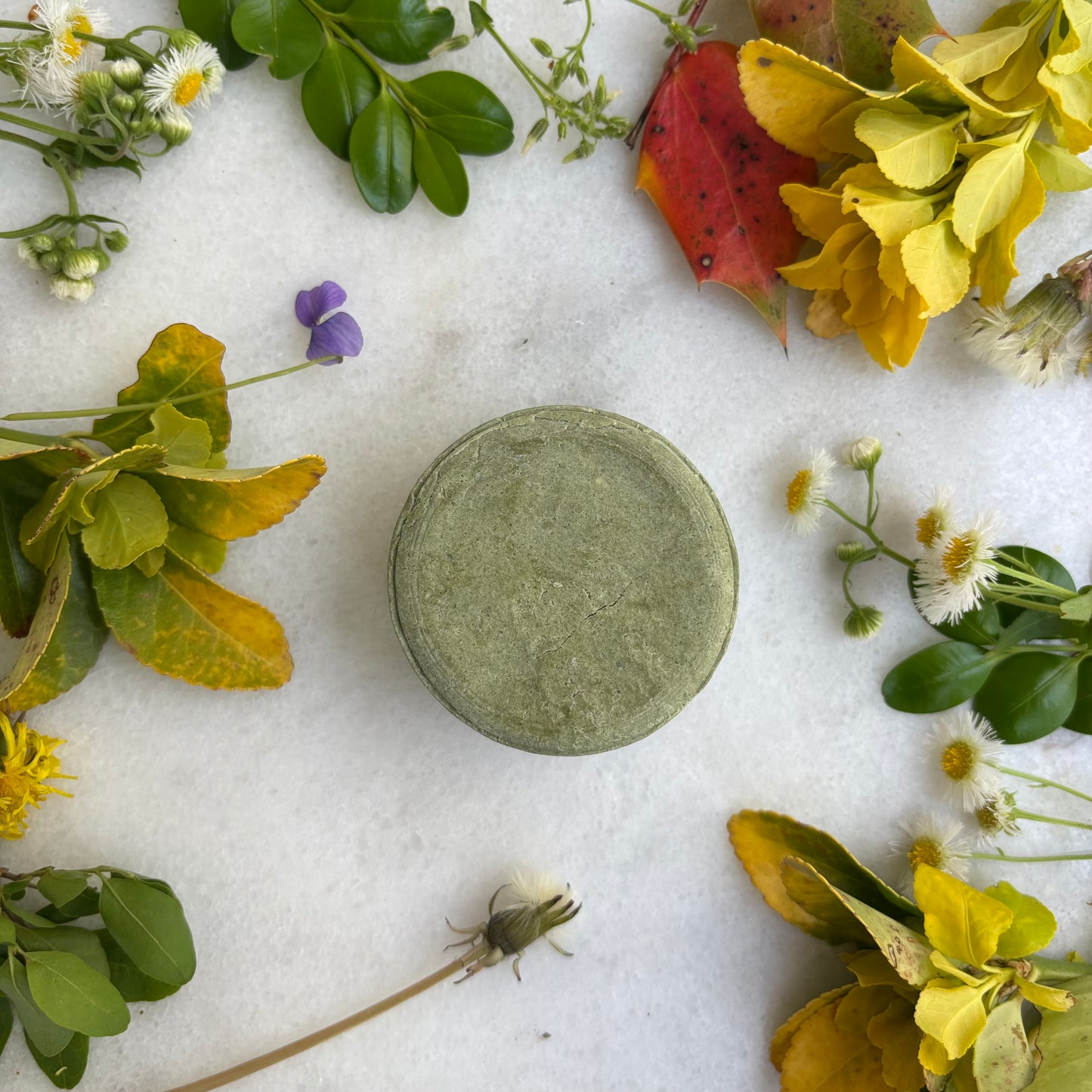 HEALTHY SCALP - Solid Shampoo Bar