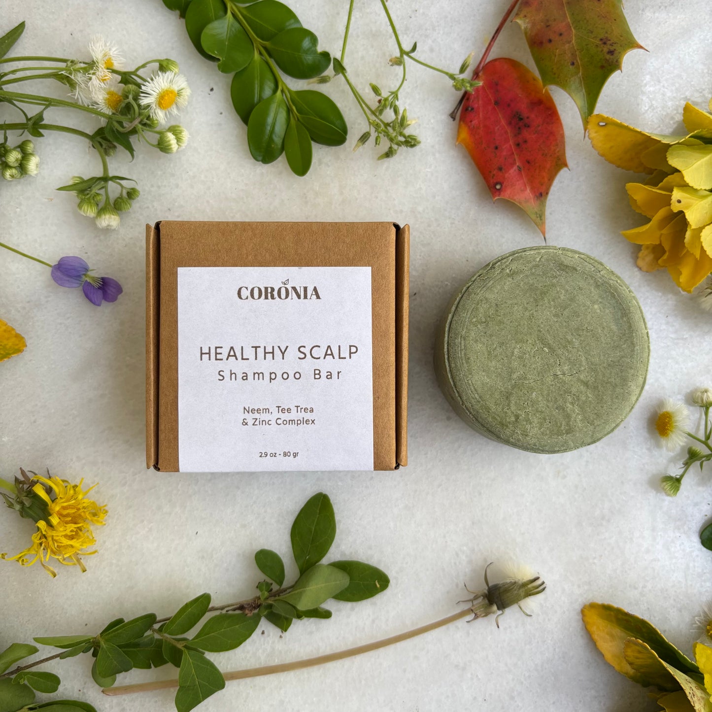 HEALTHY SCALP - Solid Shampoo Bar
